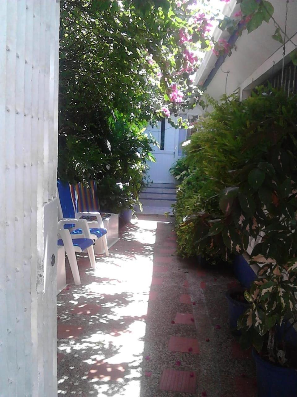 Vianova'S Place Posada Nativa San Andrés エクステリア 写真