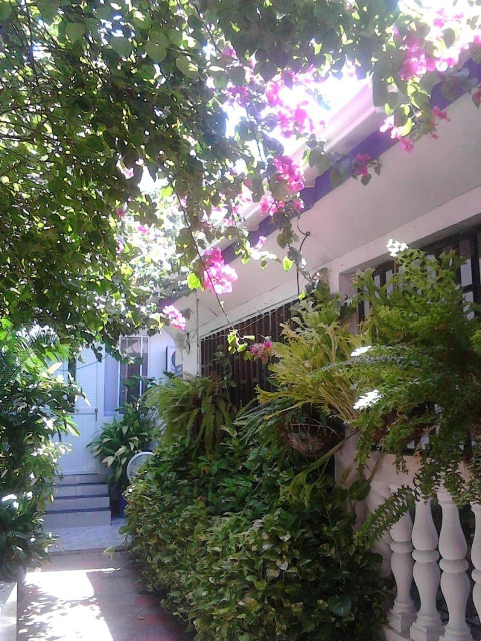 Vianova'S Place Posada Nativa San Andrés エクステリア 写真